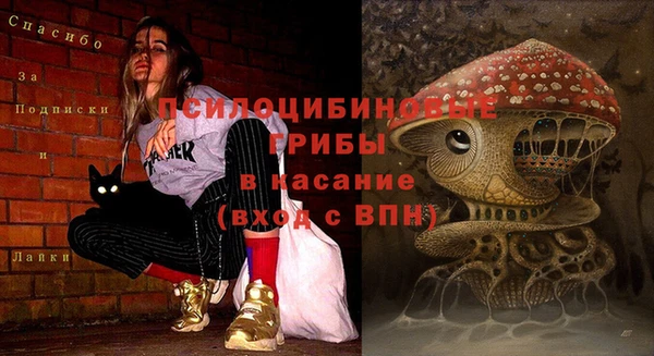 спайс Волоколамск