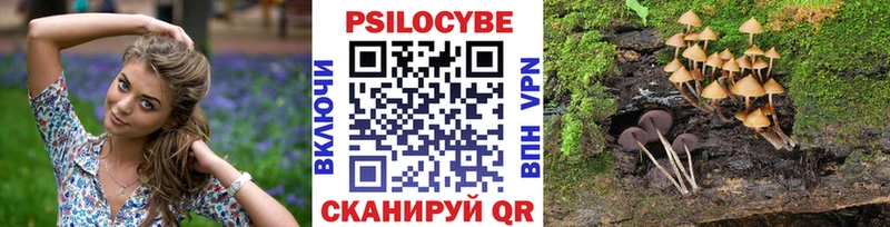 закладки  Галич  Галлюциногенные грибы Psilocybine cubensis 